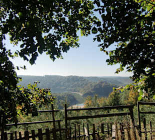 Blick auf die Burgruine Cornstejn