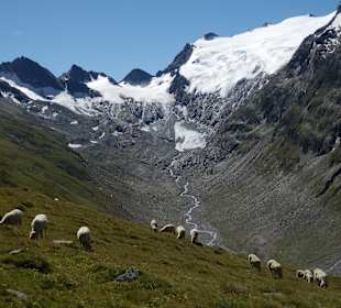 Auf der Hohen Mut (Rotmoosferner)