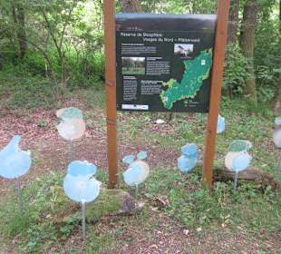 Biosphärenreservat Nordelsaß