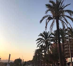 Strandpromenade Playa/Platja de Palma
