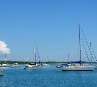 Boote auf Reede vor der Marina