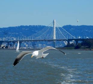 Bay Bridge