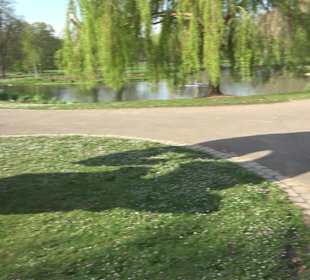 Unterer Schlossgarten Stuttgart