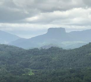 Ranga Tours