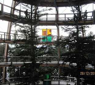 Baumwipfelpfad in Neuschönau