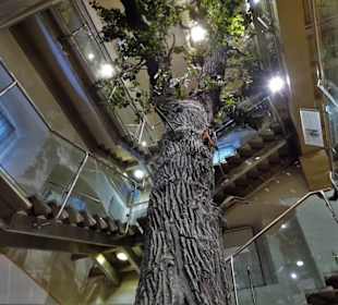 Eiche im Treppenhaus des Naturkundemuseums