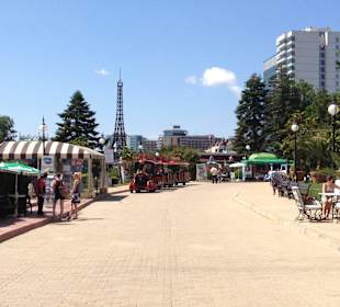 Bei Sonnenschein ein wunderbarer Anblick