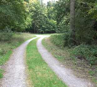 Altwege Rundwanderung Bebenhausen