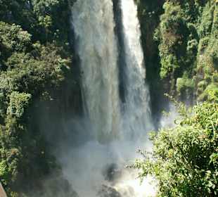 Thomsons´s Falls