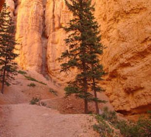 Bryce Canyon