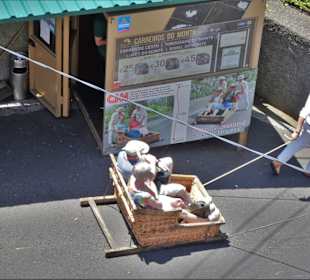 Abfahrt eines Schlittens am Berg