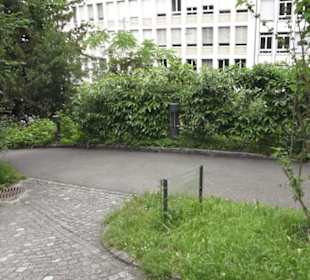Alter botanischer Garten