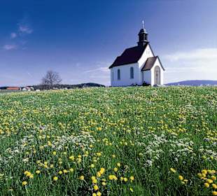 Haldenbergkapelle Friedrichshafen