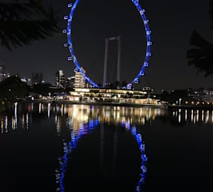 Singapore Flyer bei Nacht