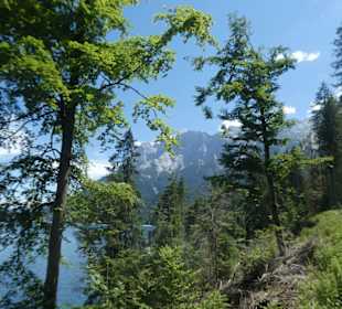 Eindruck von einem Spaziergang rund um den Eibsee