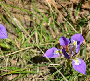 Wandern Litochoro