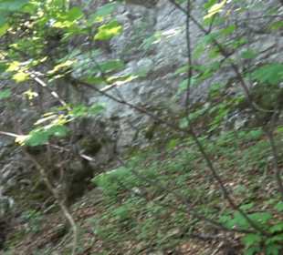 Premiumwanderweg "hochgelegen"