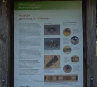 Eduard Lucas Musterobstgarten Mähringen