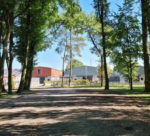 Blick auf die Hallen