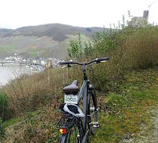 Wandern Mülheim an der Mosel