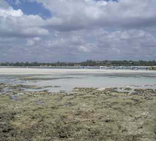 Ausflug Glasbodenboot Diani Beach