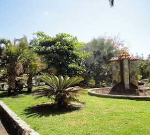 Ein schöner Garten