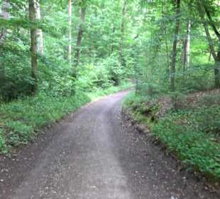Wanderweg Märchensee Runde