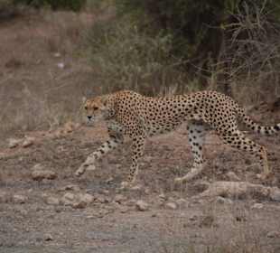 Neben unserem Fahrzeug