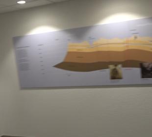 Höhlenkundliches Museum Laichingen