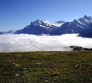Panoramaweg Männlichen-Kleine Scheidegg (4)