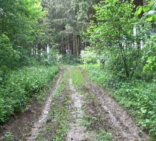 Premiumwanderweg "hochgehackert"