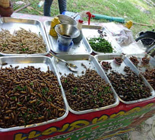 Ganz viele Proteine!