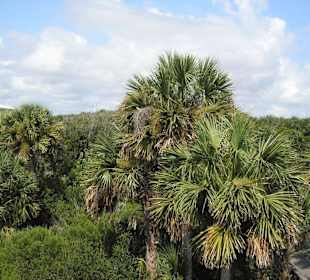 Blick vom Aussichtsturm des Centers