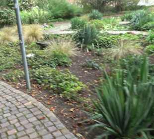 Rosengarten Ulm