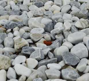 Ein Herz für Marina di Pisa