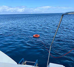 Der Badestop um mal ins Meer zu springen 