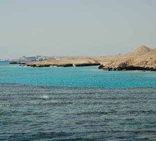 Tauch- und Schnorcheltour