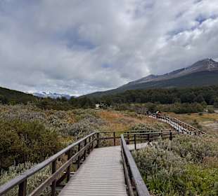 Tierra del Fuego