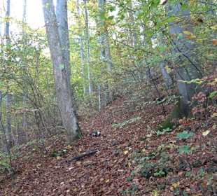 Wandertour "Rund um den Rossberg" Öschingen