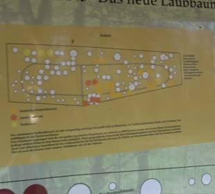 Wanderung Florianrunde