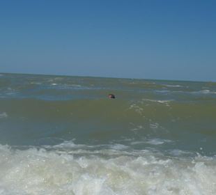 Римини, море