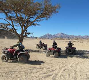 Quad-Wüsten-Tour in kleiner Gruppe