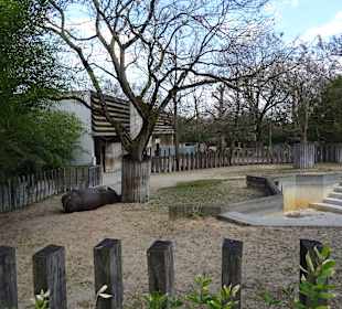 Wilhelma Stuttgart