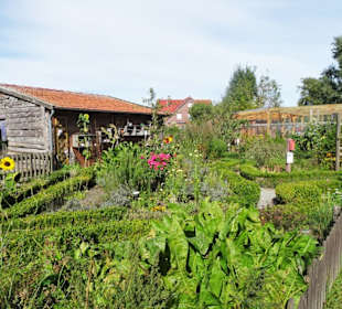 Der Kräutergarten im Haustierpark