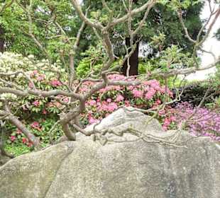 Planten und Bloomen Freizeitpark