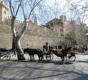 Pferdekutschen warten auf Kundschaft