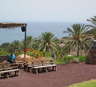 Platz für die Wildvogelshow