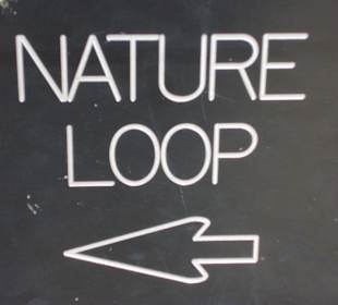 Der Weg zurück zum Parkplatz