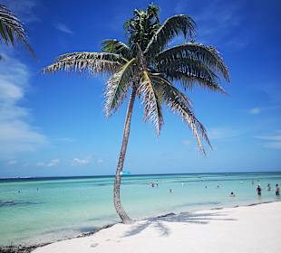 Strand Cayo Blanco