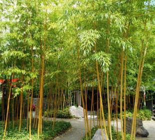 Bloemsterpark